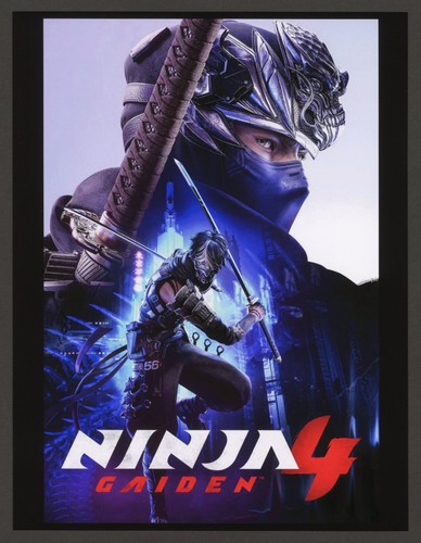Ninja gaiden playstation 5 - ninja,
