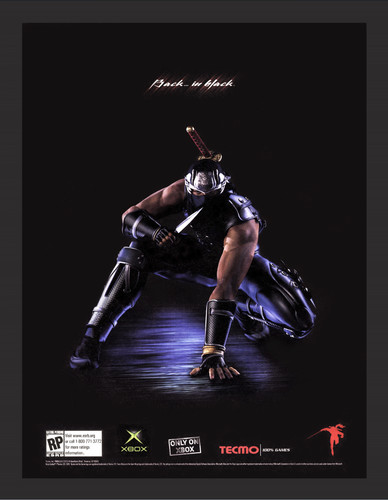 Poster parete ninja - parete,